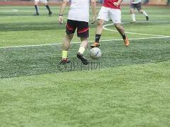 国足世界排,名保持不变,继续位列第,开云体育,开云体育官网,开云体育app,开云体育平台,KAIYUN,SPORTS,kaiyun登录入口