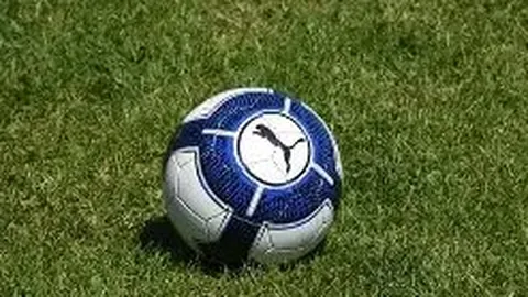 关晓彤代言品牌天然呆续签千万代言金，奶茶总执行额突破千万