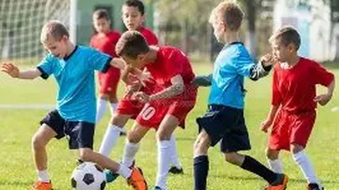 开运体育下载 资讯 084138 g4b