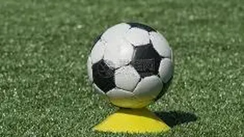 “国际投资者警示企业“过度投资”，AI领域泡沫疑云浮现？”